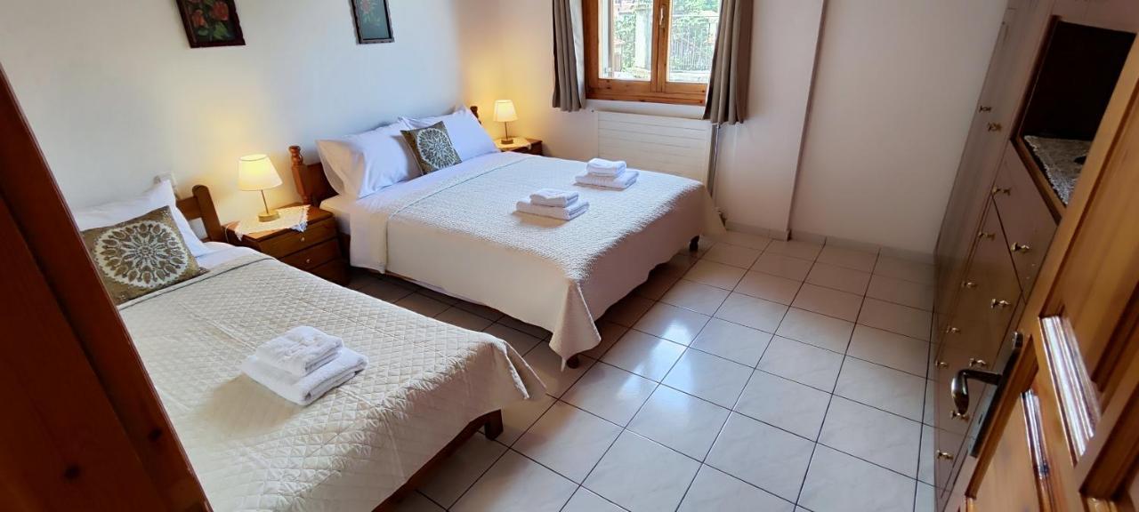 Apartamento Theofania'S Marble House Meteora Kastraki Exterior foto